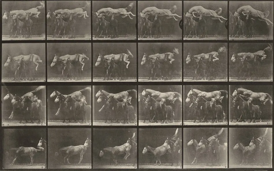 Plate Number 648. "Hornet" jumping over three horses by Eadweard Muybridge