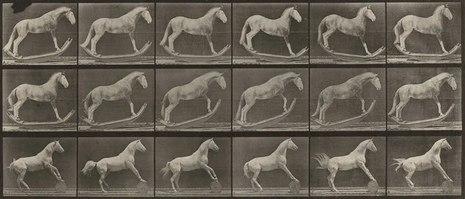 Plate Number 649. A: "Hornet" rocking. B: "Eagle" rolling a barrel by Eadweard Muybridge