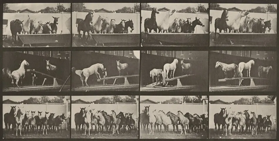 Plate Number 651. A: Bell ringing. B: Teeter board. C: Military drill by Eadweard Muybridge