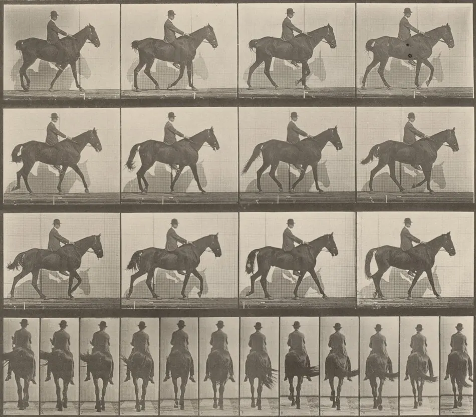 Plate Number 655. "Gazelle" walking, spavin, right hind leg by Eadweard Muybridge