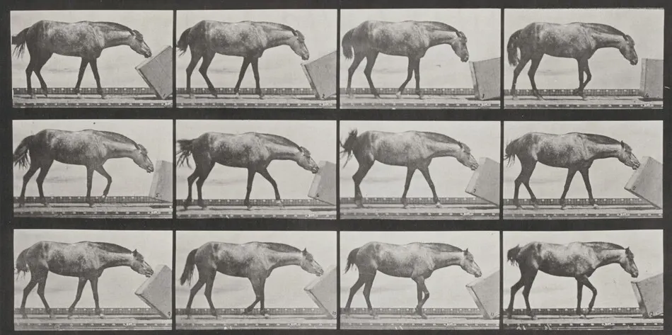 Plate Number 657. "Lotta" rolling a box by Eadweard Muybridge