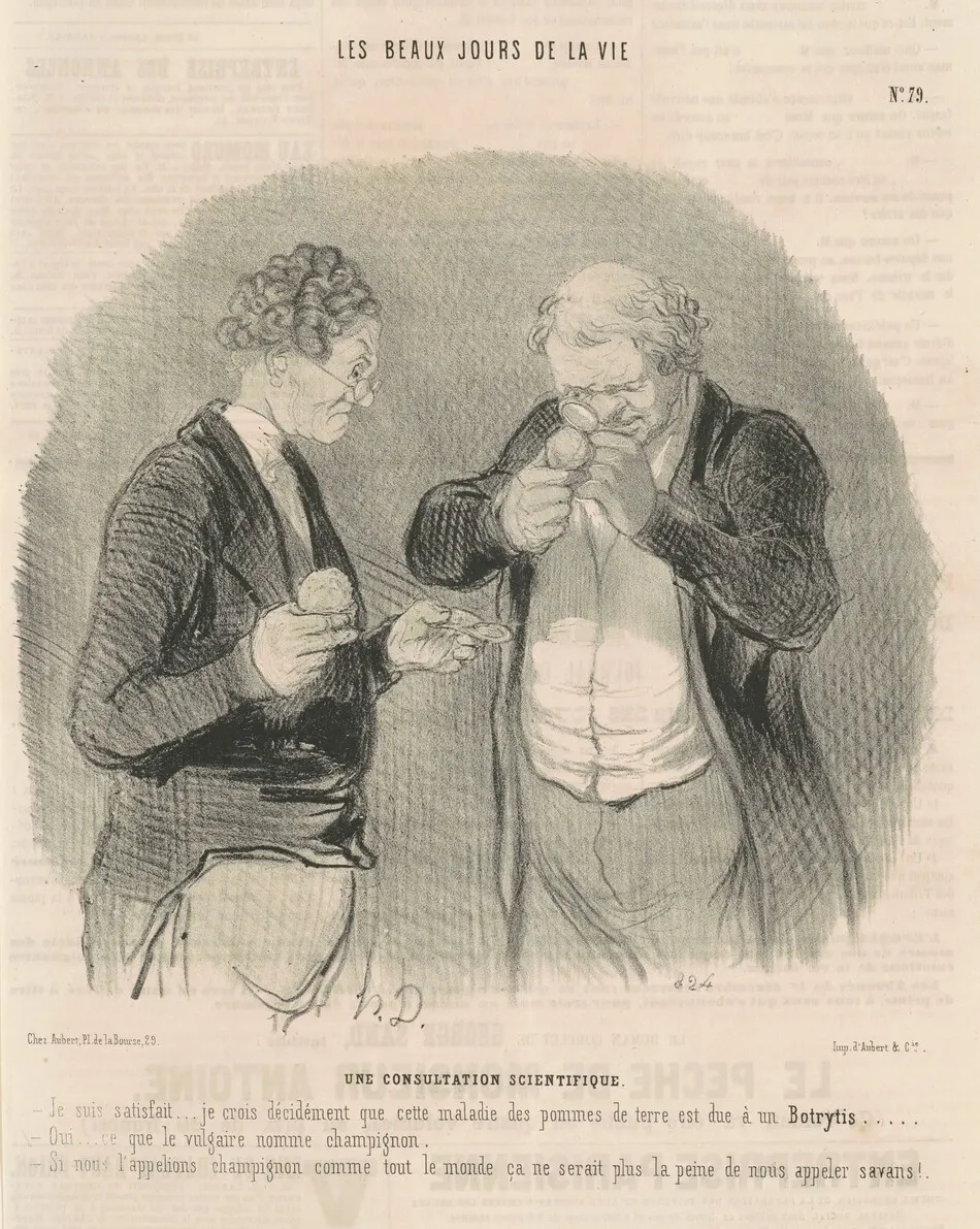 Une consultation scientifique by Daumier, Honoré