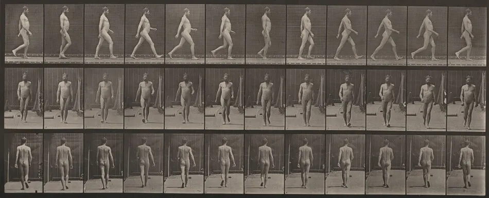 Plate Number 11. Walking by Eadweard Muybridge
