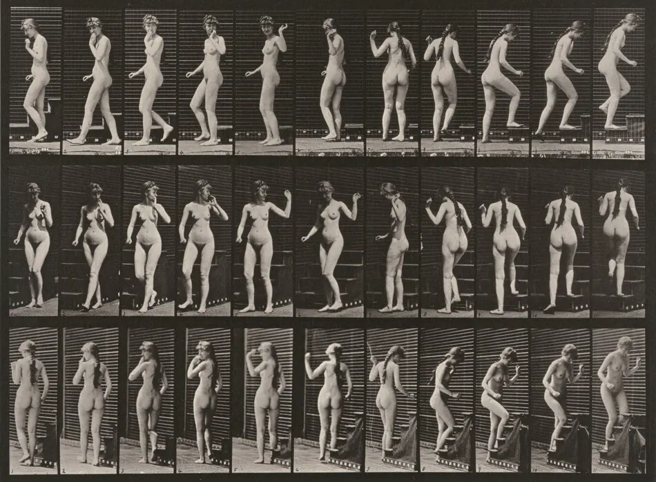 Plate Number 101. Turning, ascending stairs and waving hand by Eadweard Muybridge