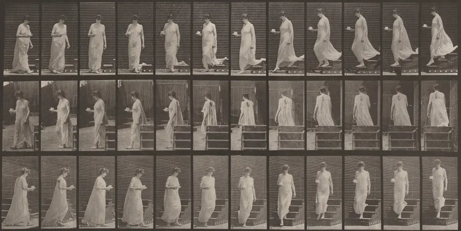 Plate Number 143. Descending stairs, a cup and saucer in right hand by Eadweard Muybridge