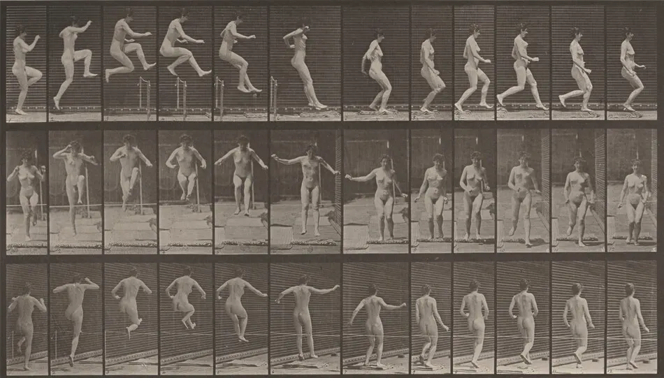 Plate Number 155. Jumping, running straight high jump by Eadweard Muybridge