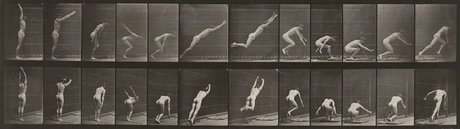 Plate Number 162. Jumping, standing broad jump by Eadweard Muybridge