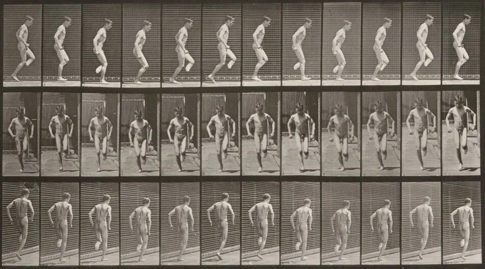 Plate Number 186. Hopping on right foot by Eadweard Muybridge