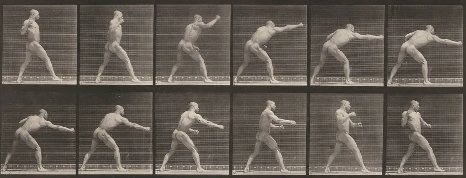 Plate Number 344. Striking a blow with right hand by Eadweard Muybridge
