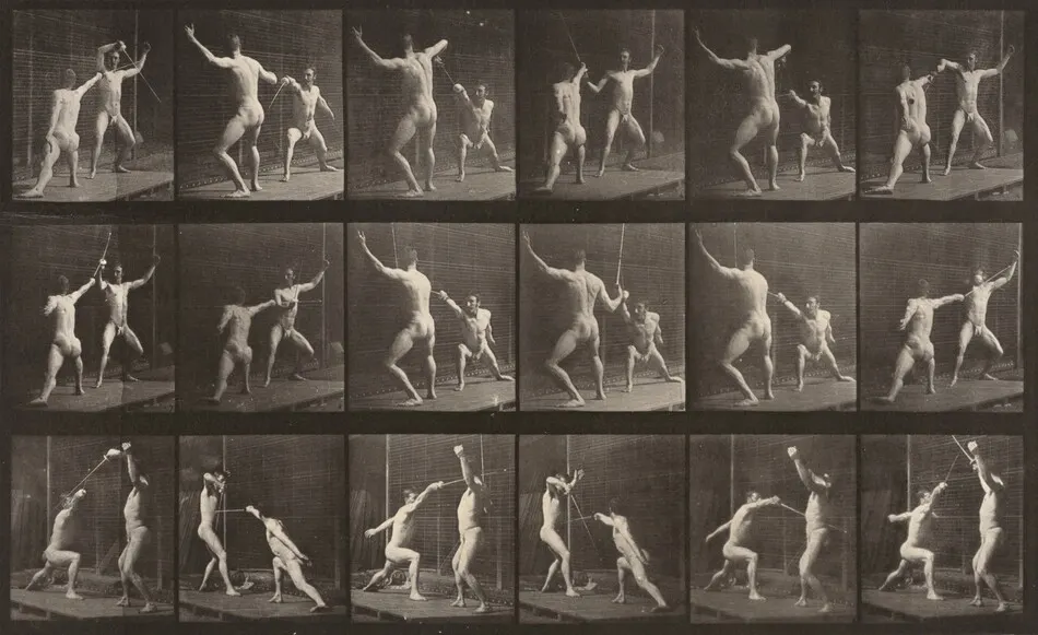 Plate Number 350. Fencing by Eadweard Muybridge