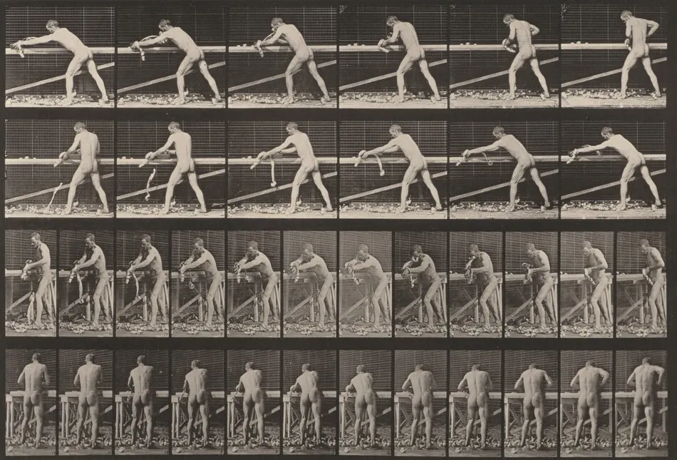 Plate Number 379. Carpenter, planing a board by Eadweard Muybridge