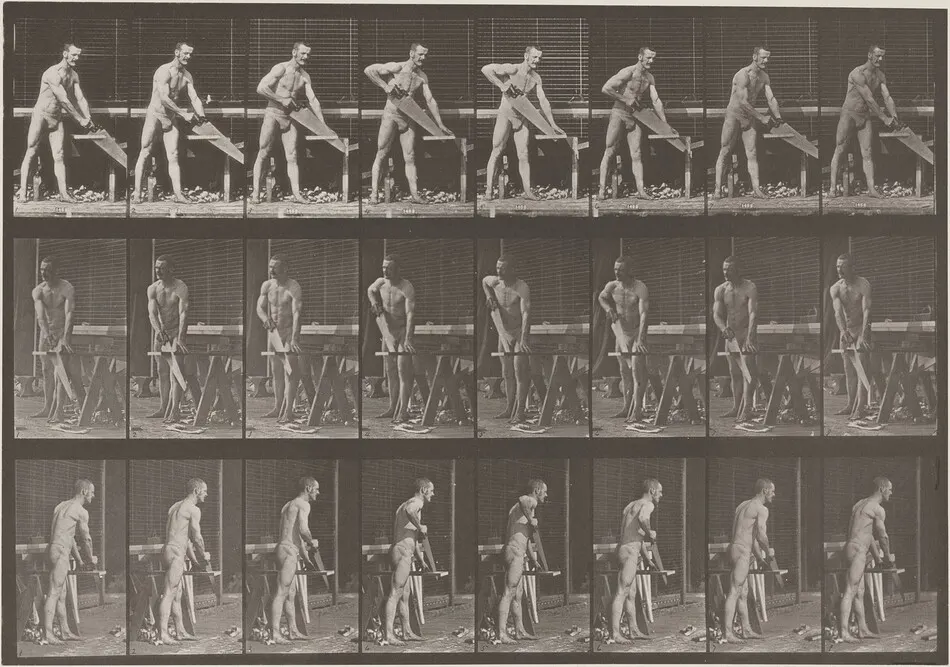 Plate Number 380. Carpenter, sawing a board by Eadweard Muybridge