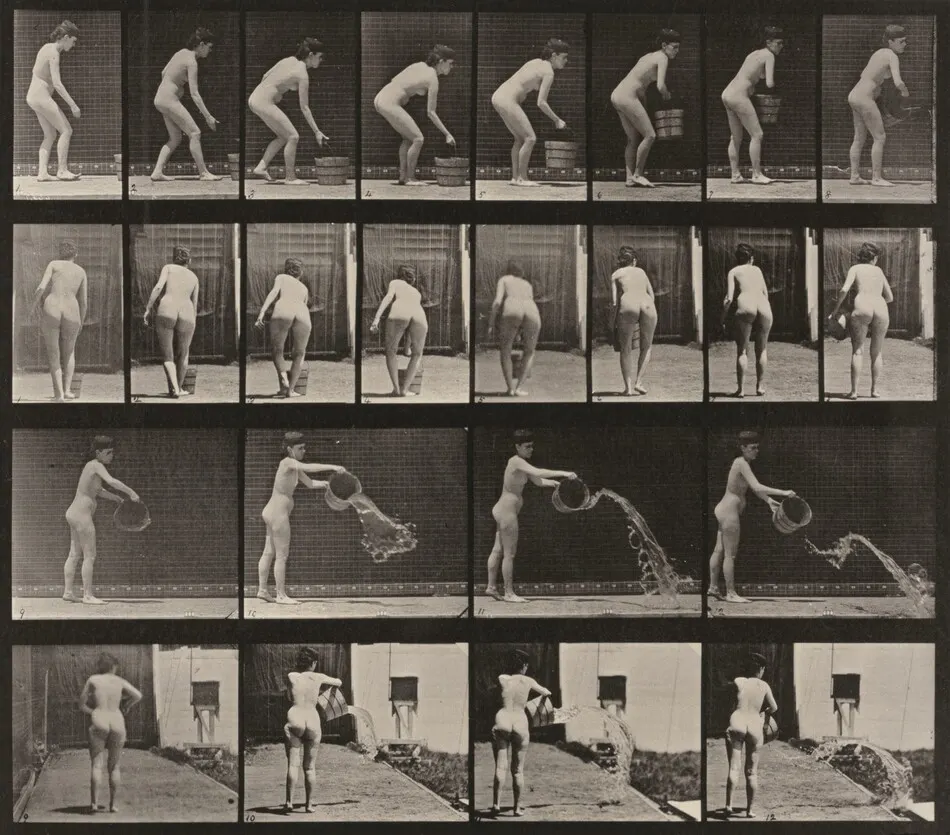 Plate Number 401. Emptying a bucket of water by Eadweard Muybridge
