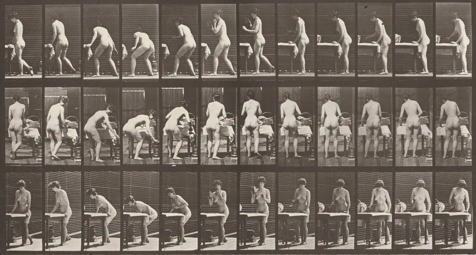 Plate Number 435. Ironing clothes by Eadweard Muybridge