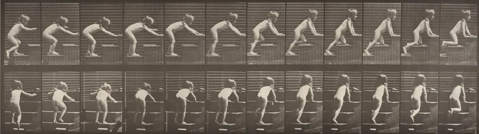 Plate Number 480. Child walking and crawling up stairs by Eadweard Muybridge
