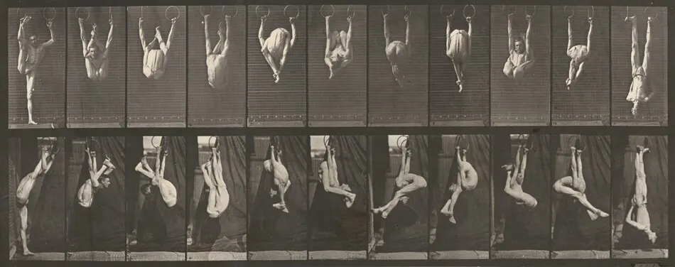 Plate Number 512. Contortions on the rings by Eadweard Muybridge