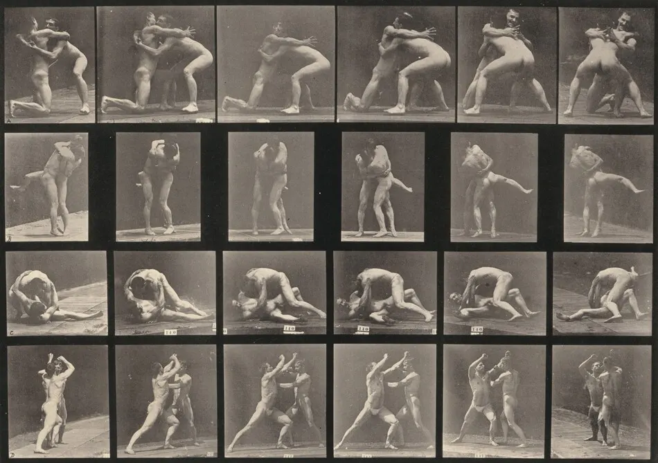 Plate Number 520. A-C: Wrestling. D: Sparring without gloves by Eadweard Muybridge