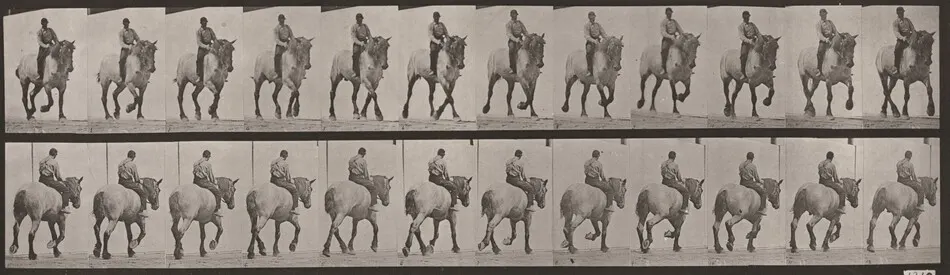 Plate Number 599. "Dusel" trotting, bareback by Eadweard Muybridge