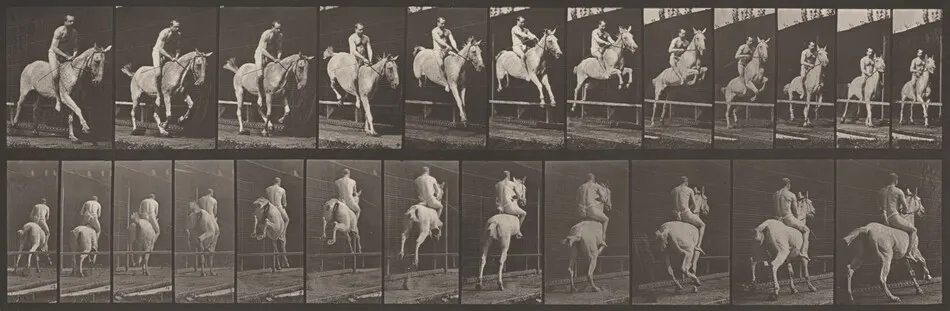 Plate Number 647. "Pandora" jumping a hurdle, bareback; rider nude by Eadweard Muybridge