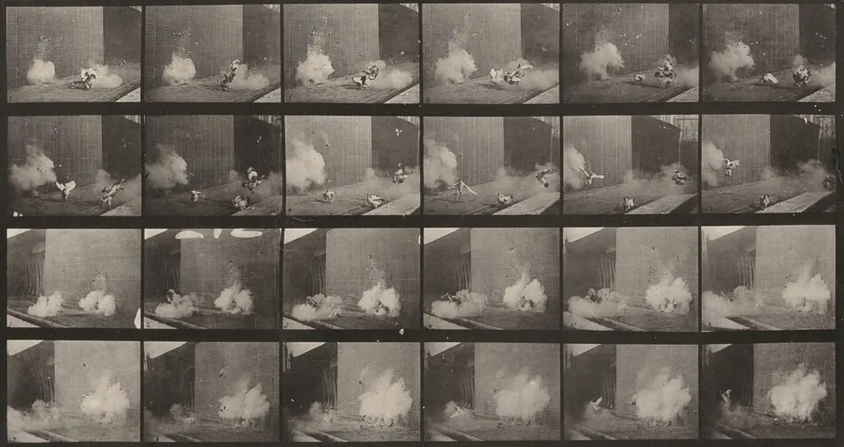 Plate Number 781. Chickens scared by a torpedo by Eadweard Muybridge