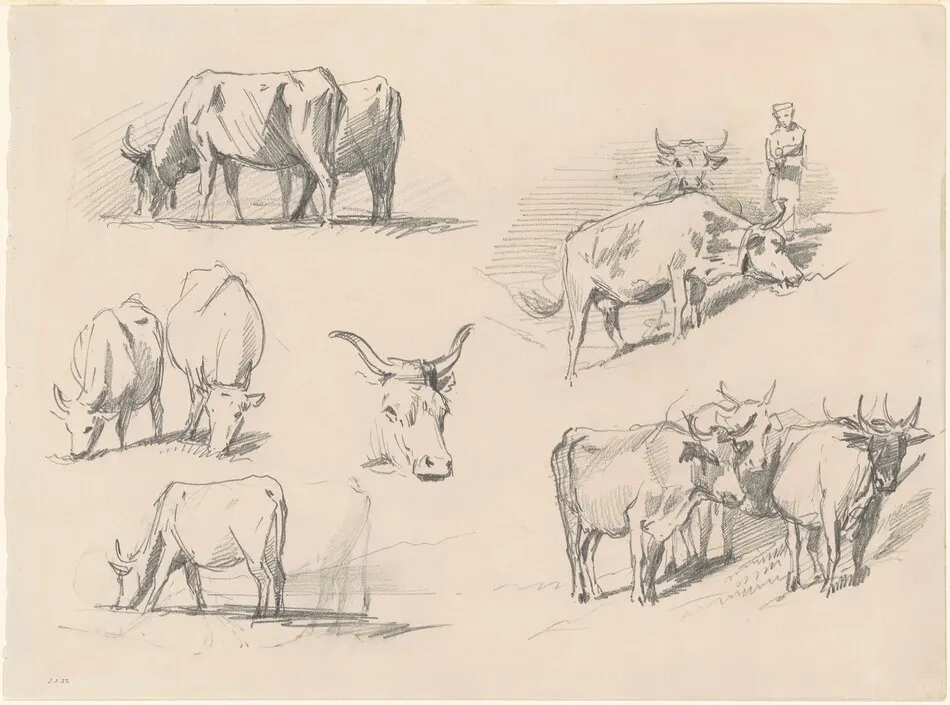 Studies of Cattle by John Singer Sargent