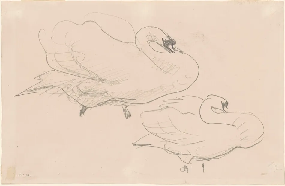 Studies of a Swan by John Singer Sargent