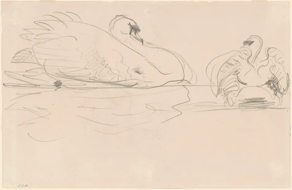 Swans in the Water by John Singer Sargent
