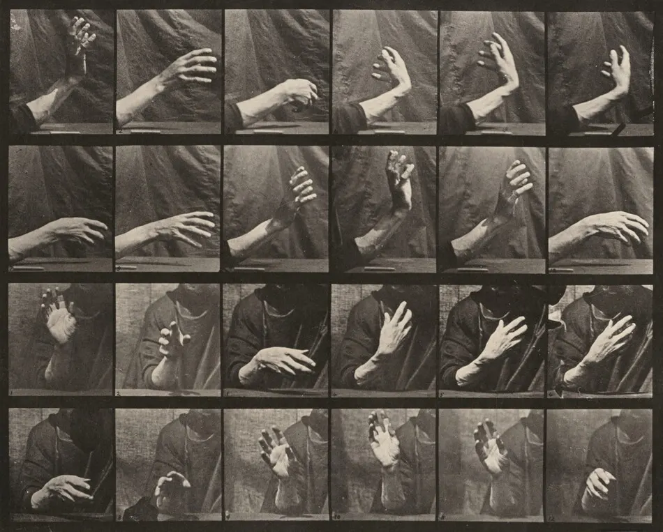 Plate Number 535. Movement of the hand, beating time by Eadweard Muybridge