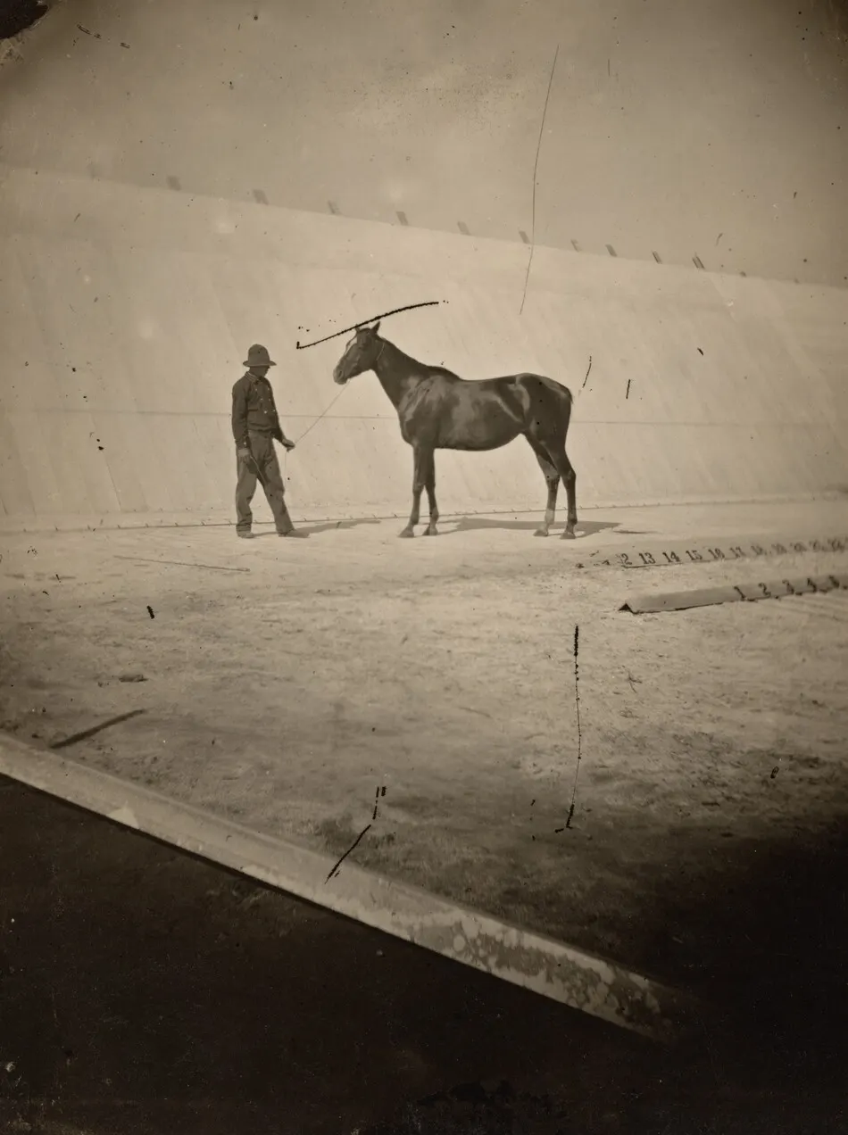 Detail of the Track at Leland Stanford's Horse Farm in Palo Alto by Eadweard Muybridge