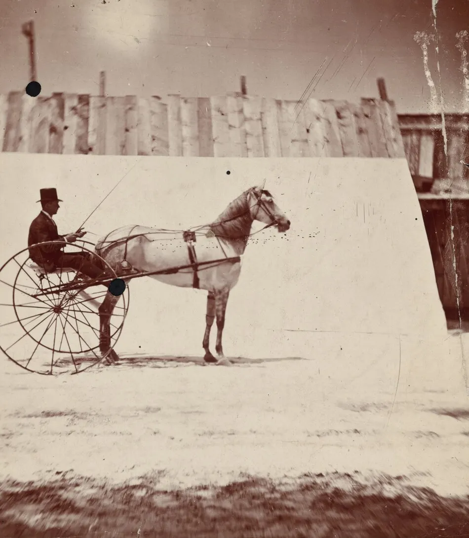 Detail of the Track at Leland Stanford's Horse Farm in Palo Alto by Eadweard Muybridge