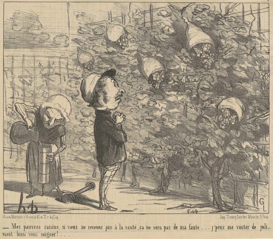 Mes pauvres raisons, si vous ne revenez pas à la sauté... by Honoré Daumier