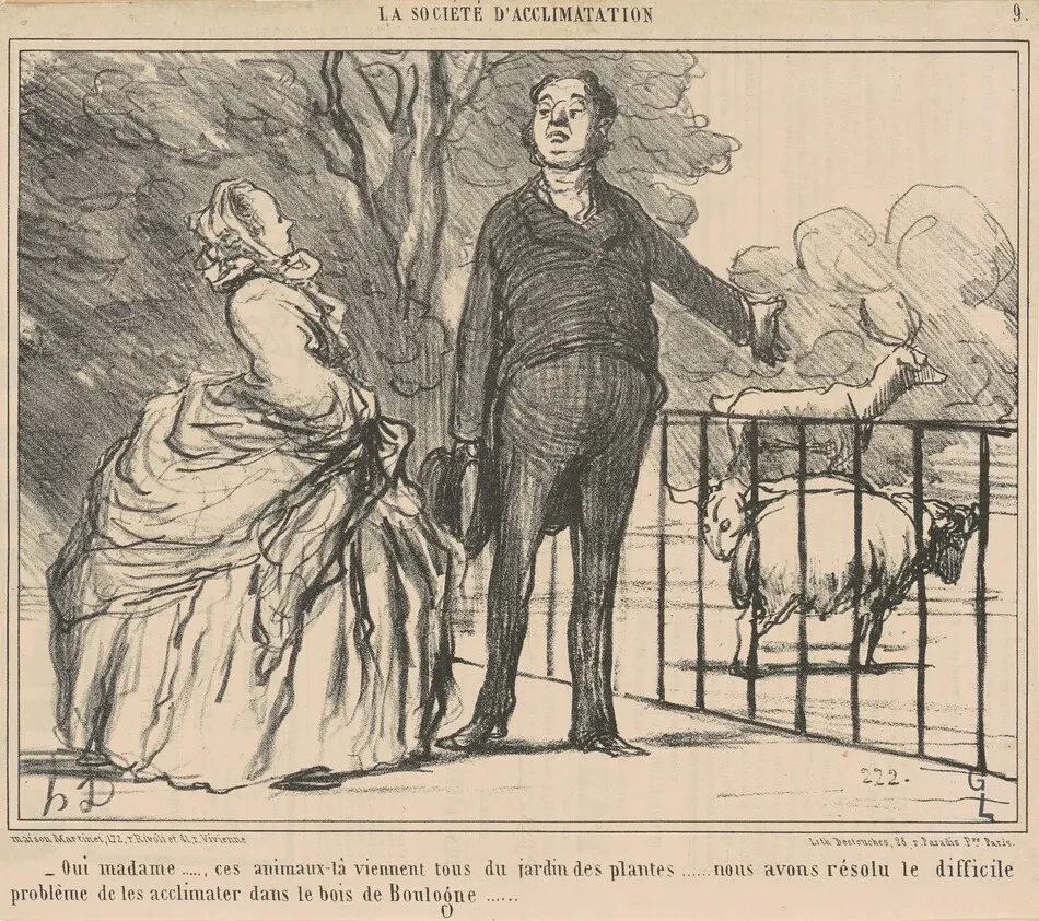 Oui madame ... ces animaux-la ... by Honoré Daumier