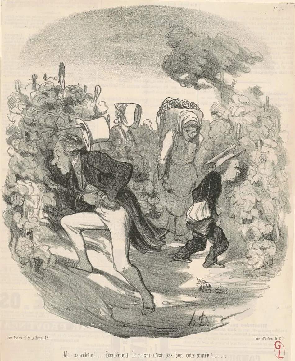 Ah! Saperlotte! ... Le raisin n'est pas bon cette année! ... by Honoré Daumier