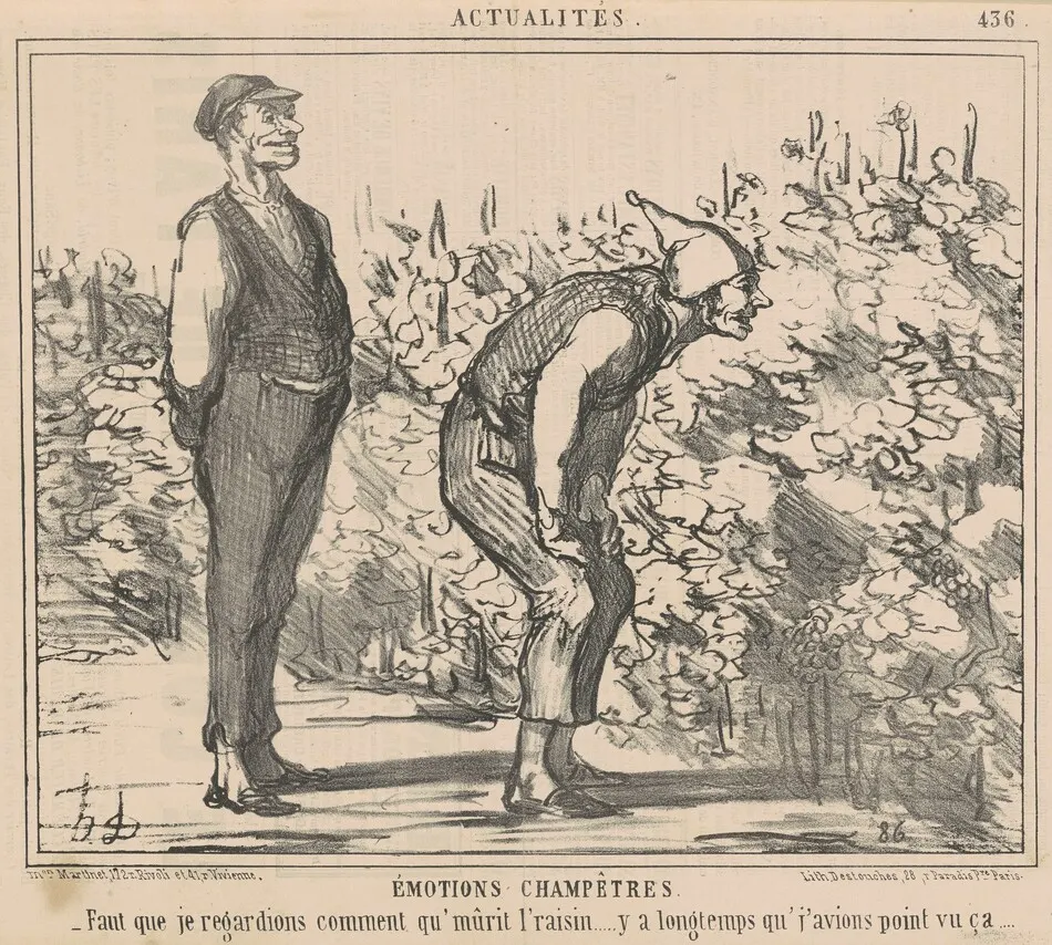 Faut que je egardions comment qu'murit l'raisin ... by Honoré Daumier