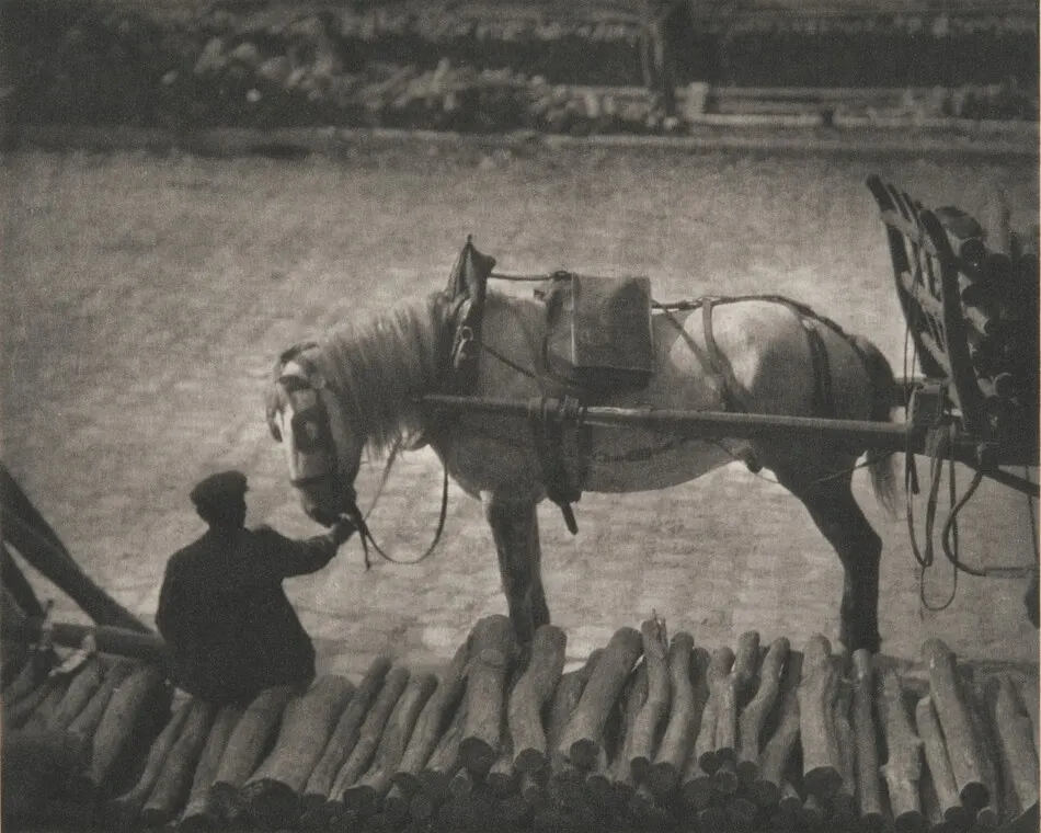A Snapshot, Paris [horse] by Alfred Stieglitz