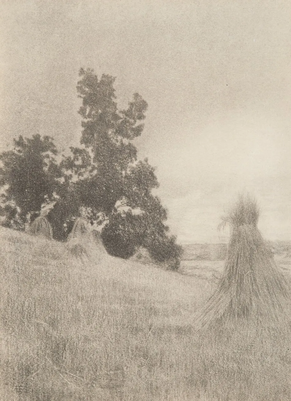 September by Alfred Stieglitz