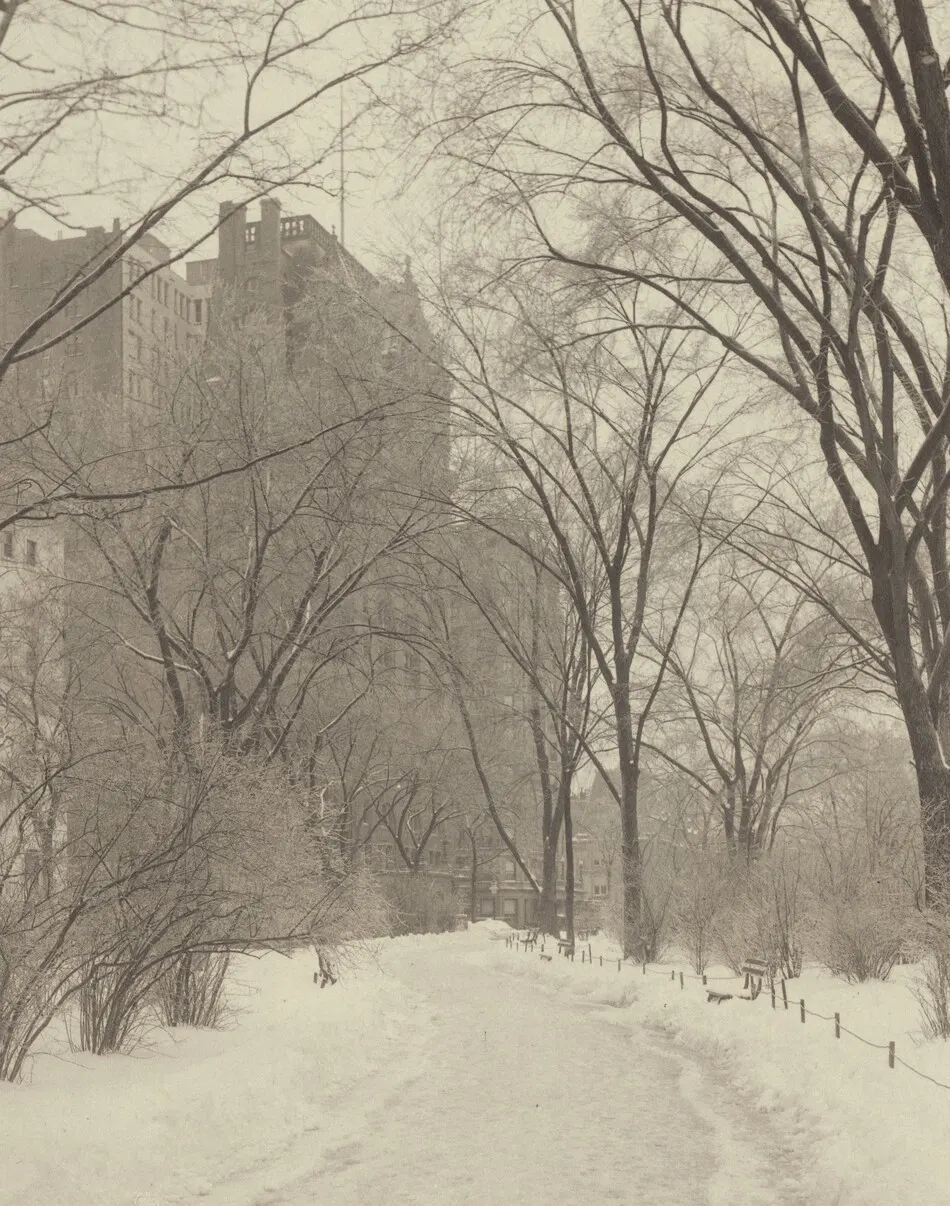 In the Park by Alfred Stieglitz