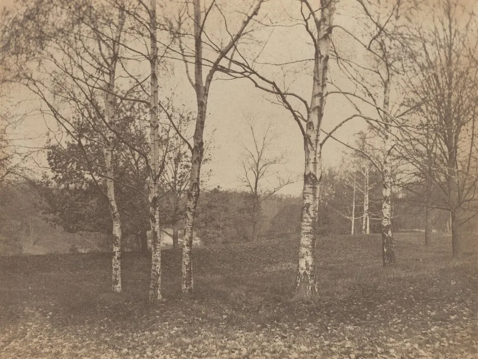 Autumn by Alfred Stieglitz
