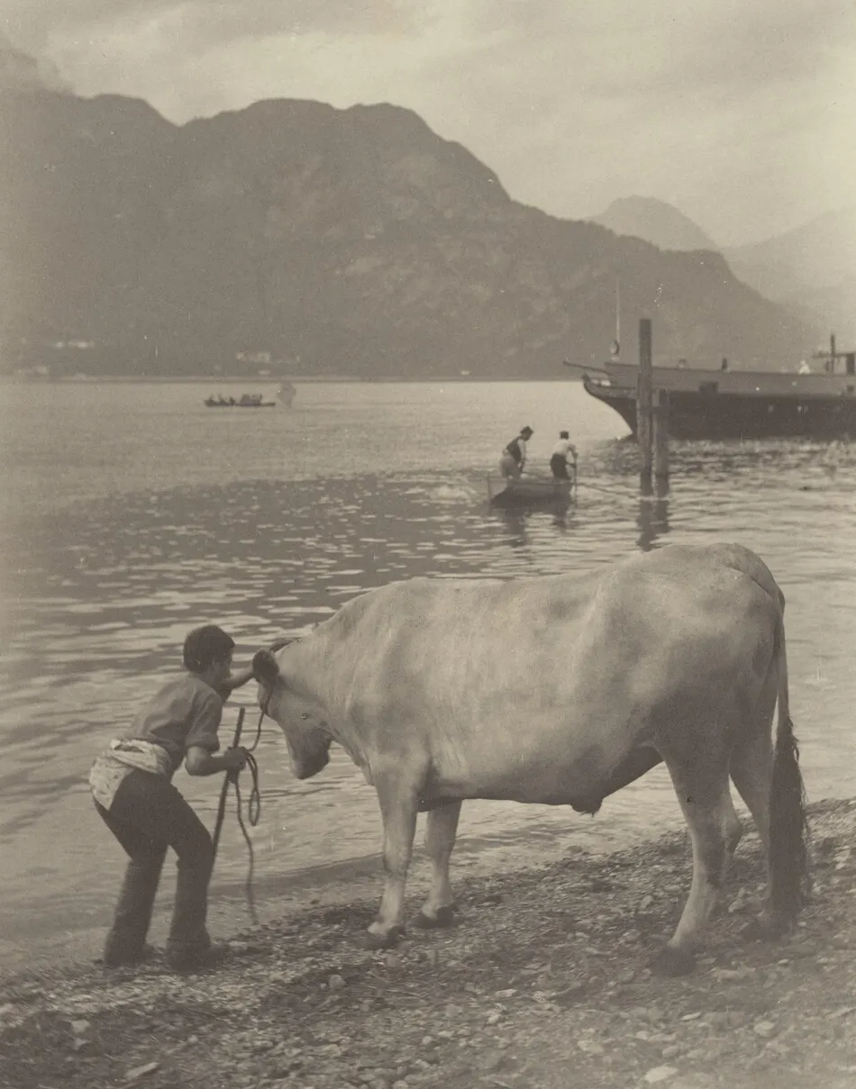 The Unwilling Bath by Alfred Stieglitz