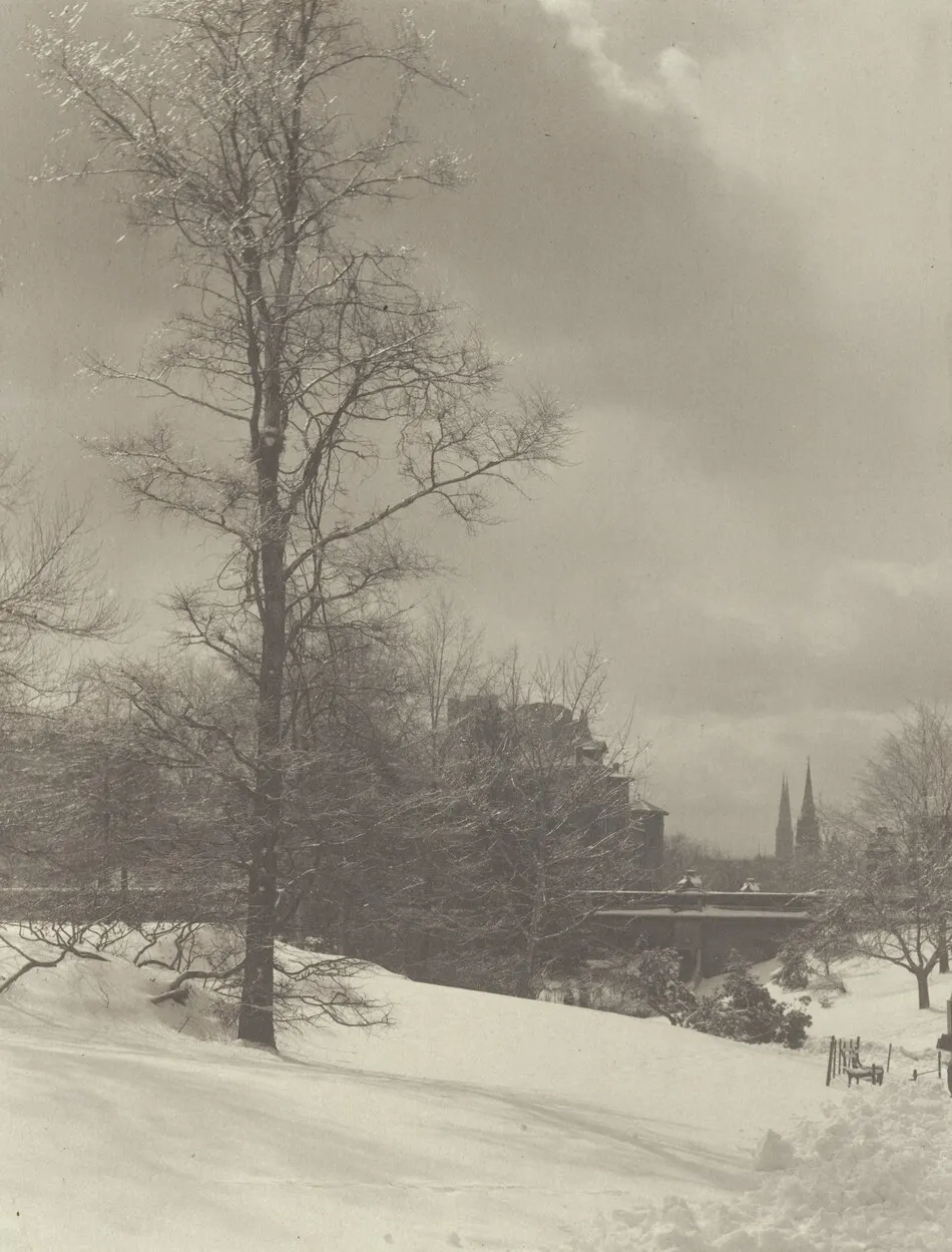 Winter (Central Park) by Alfred Stieglitz