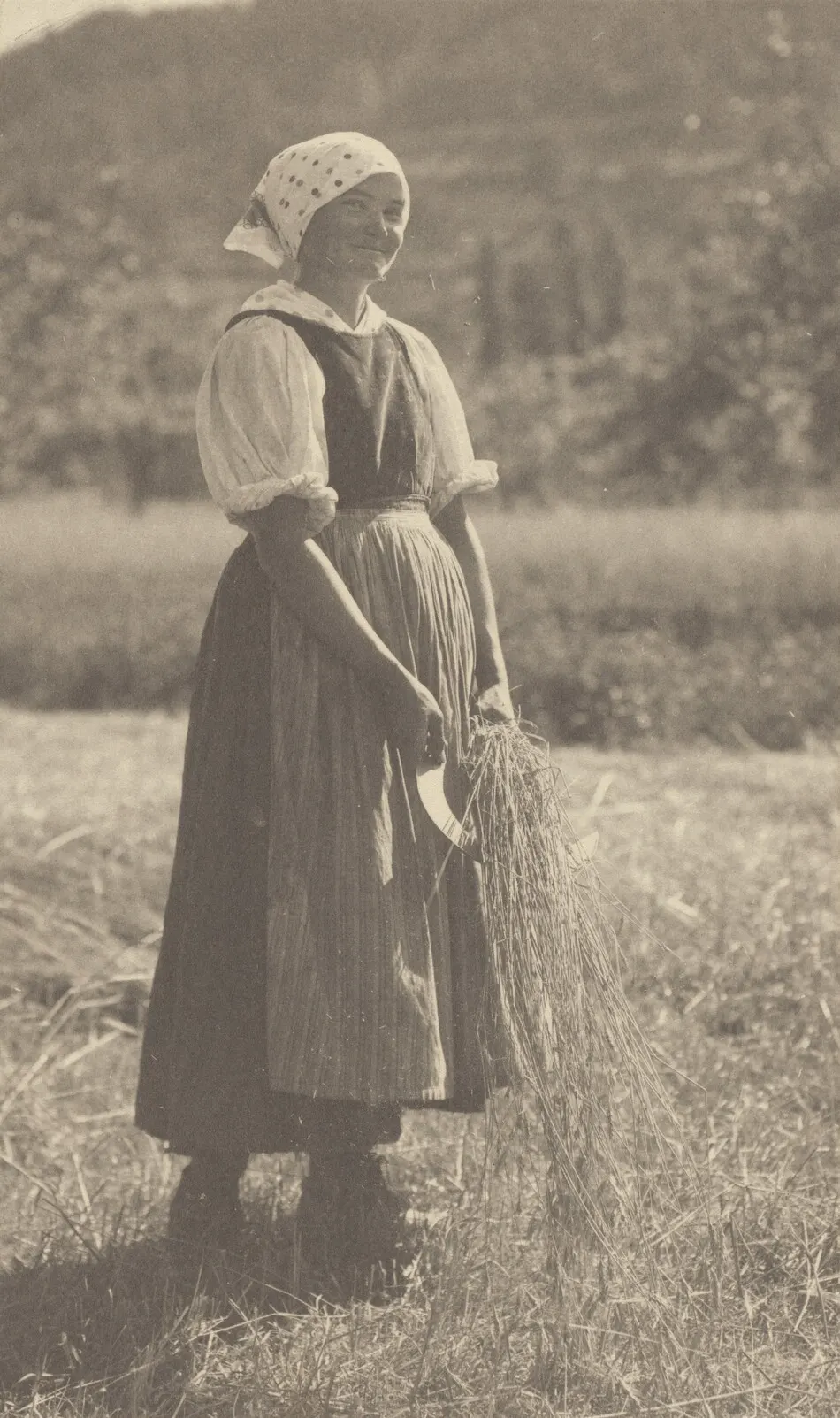 From the Fields by Alfred Stieglitz