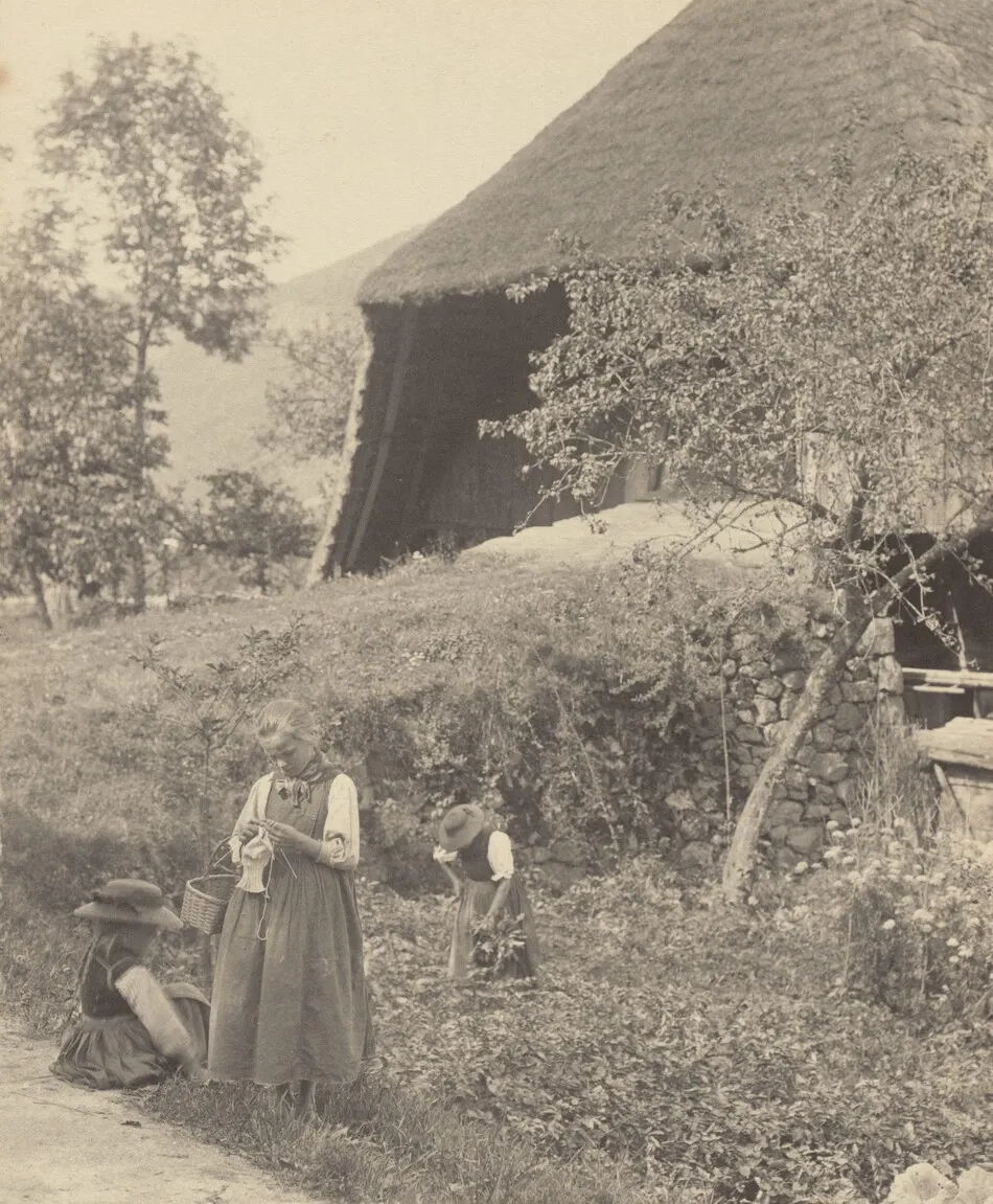 A Bit of Gutach by Alfred Stieglitz