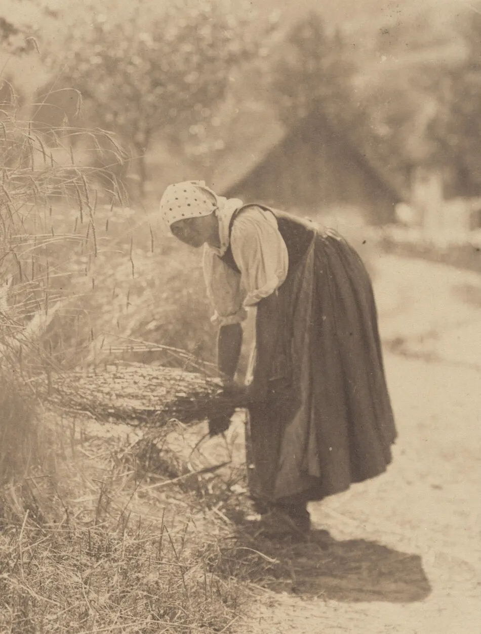 Harvesting by Alfred Stieglitz