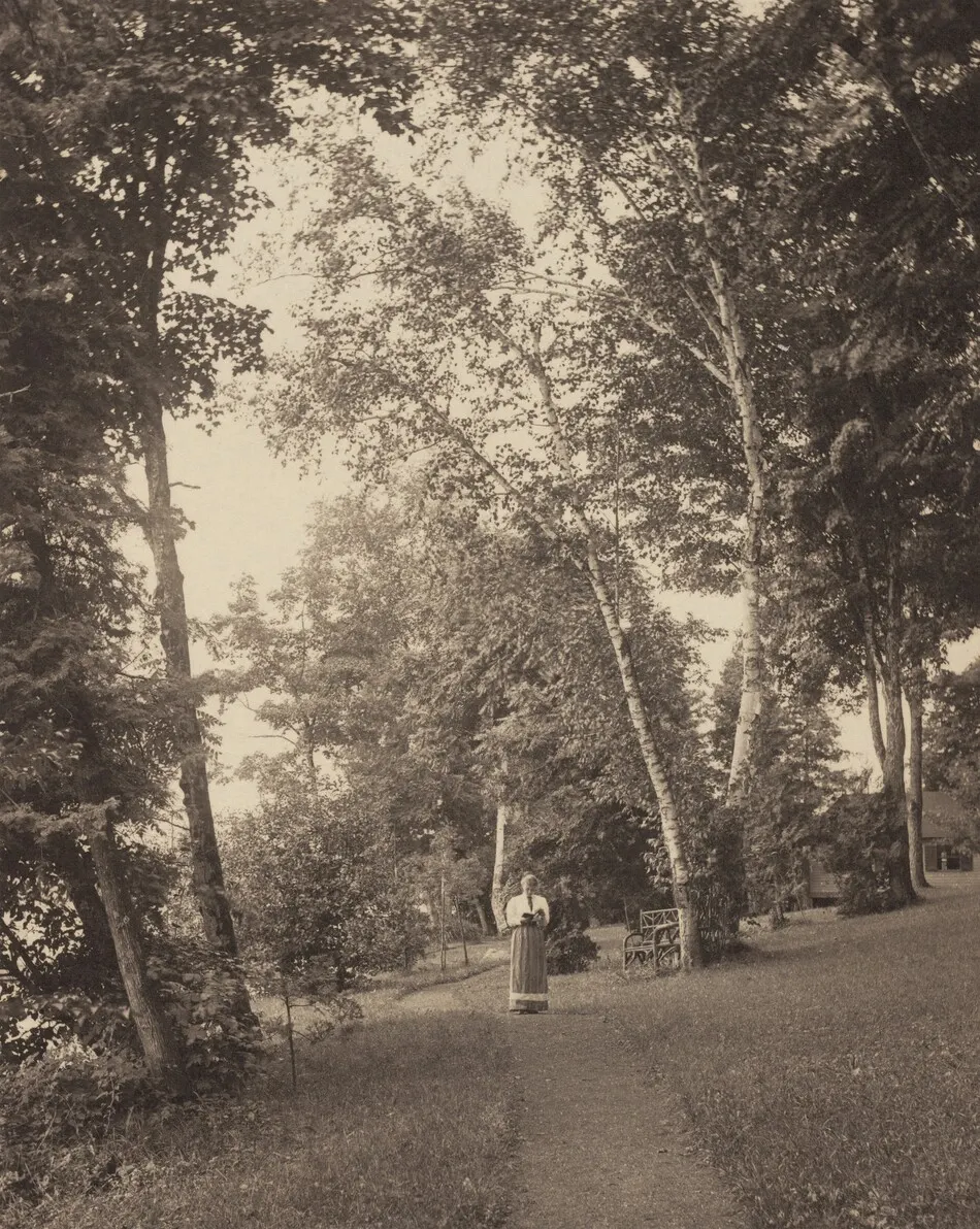 Hedwigspath, Oaklawn, Lake George by Alfred Stieglitz