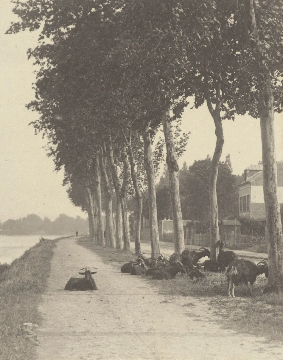 Homeward by Alfred Stieglitz