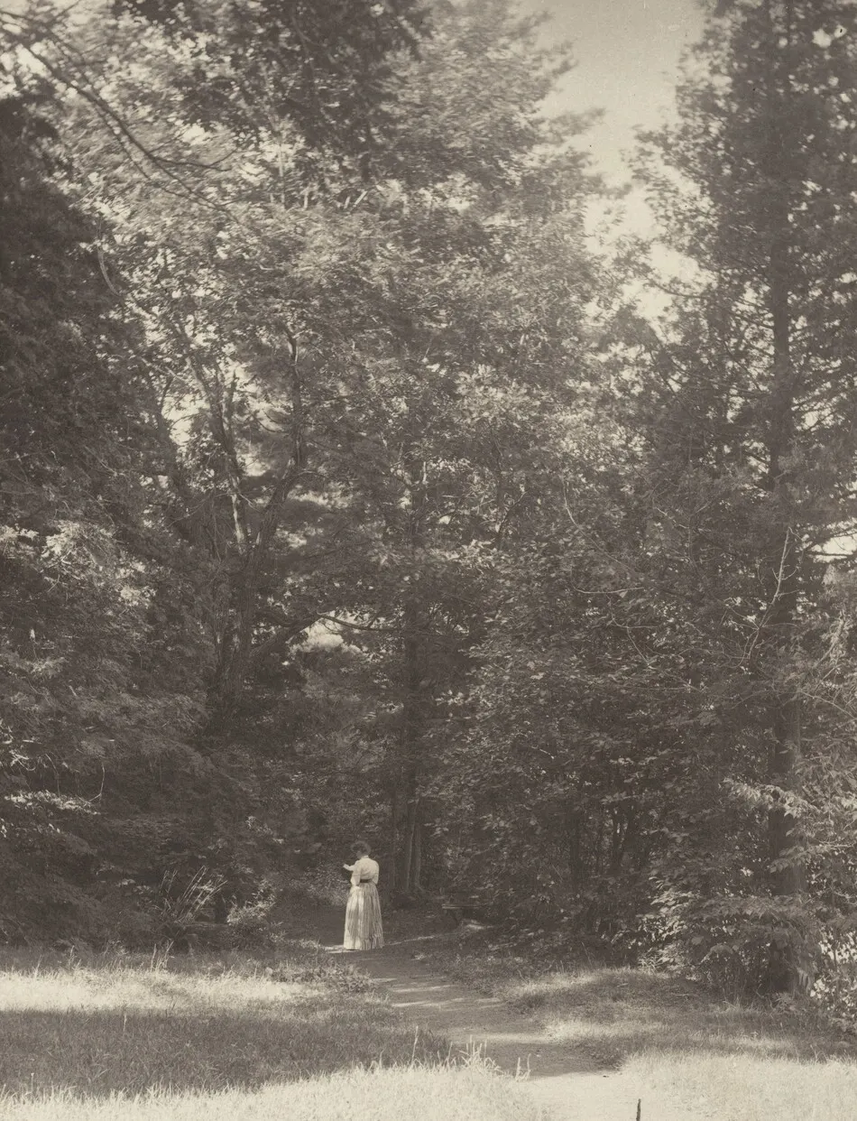"Hedwigsweg" II, Lake George by Alfred Stieglitz