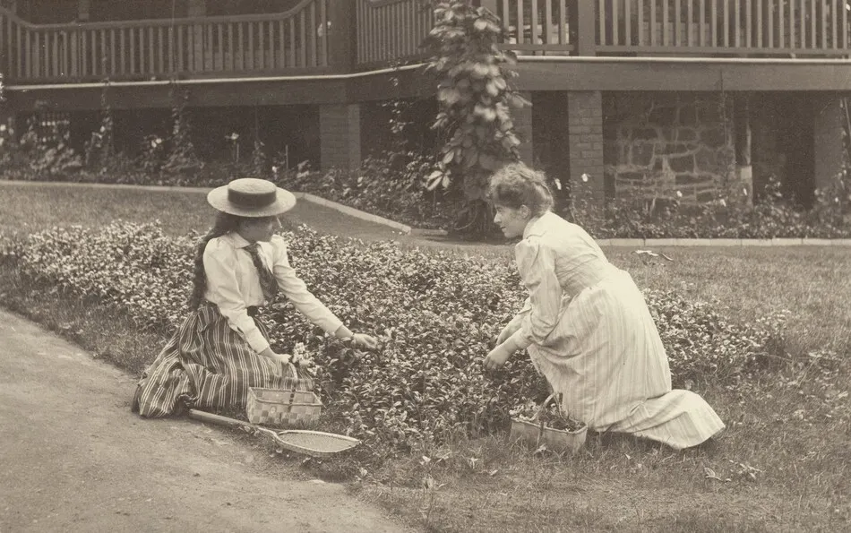 A Flowerbed at Oaklawn by Alfred Stieglitz
