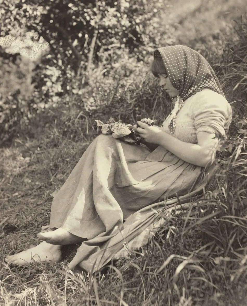Sunlight Effect by Alfred Stieglitz