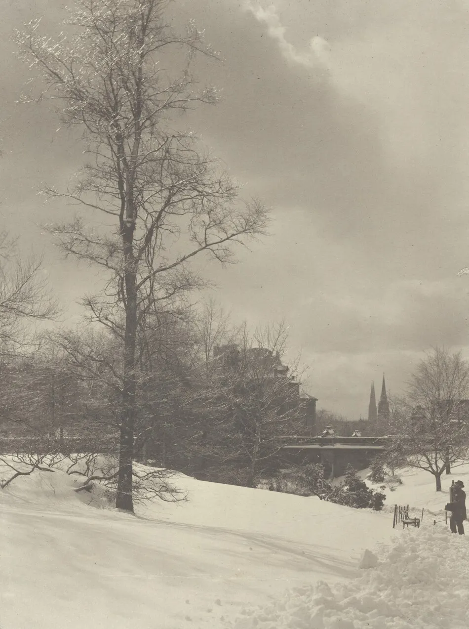 Winter, Central Park by Alfred Stieglitz