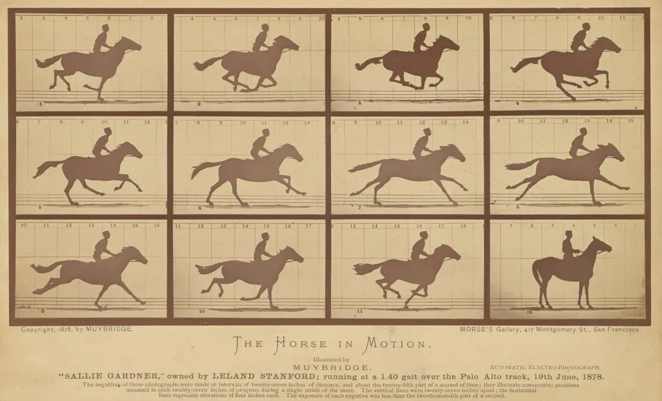 The Horse in Motion by Eadweard Muybridge